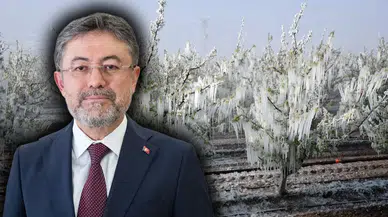 Tarım Sigortalarında 2027 Yenilikleri: 16 Yeni Ürün Daha TARSİM Kapsamına Alındı