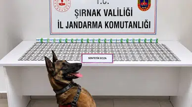 Şırnak'ta Jandarmadan Uyuşturucu ve Aranan Şahıslara Operasyon: 12 Tutuklama