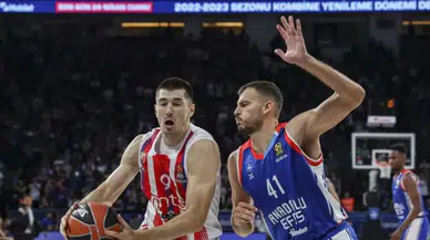 Bahçeşehir Koleji Erkek Basketbol Takımı Luka Mitrovic'i Transfer Etti