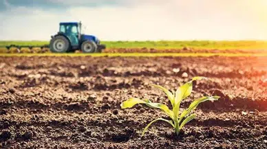 Tarım-ÜFE'de eylül ayında düşüş : Fiyatlar aylık yüzde 1,99 geriledi
