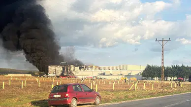 Kırklareli Vize'deki İlaç Fabrikasında Yangın