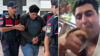 Alanya'da kuşlara eziyet eden şahıs tutuklanarak cezaevine gönderildi