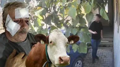 Kocaeli'nde Muştalı Komşu Kavgası: Öğretmen Yaşlı Adamı Hastanelik Etti