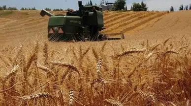 Tarımsal destek ödemeleri yattı mı, ne zaman yatırılacak?