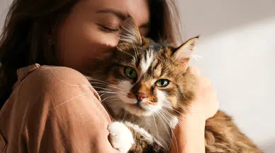 Kedilerin Kanseri İnsan Tedavisine Nasıl Işık Tutuyor?