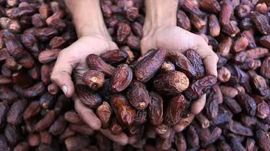 Hurma Tüketimi Neden Önemlidir ve Nasıl Doğru Şekilde Yapılmalıdır?