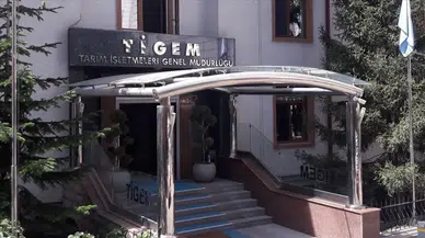 TİGEM, 120 reforme küçükbaş hayvanı hangi şartlarla satacak?