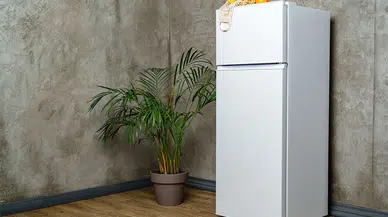 Ekmeği Uzun Süre Taze Tutmanın Yanlış Yöntemleri Neler? Uzmanlar Açıklıyor