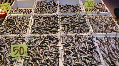 Av yasağı ne zaman başlayacak ve Trabzon'da balık tezgahlarında neler oluyor?
