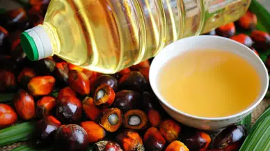 Palm yağı ve soya yağı arasındaki fiyat farkı neden bu kadar açıldı?