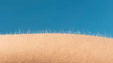 Vücudun sırrı nedir? Ürperince tüylerimiz neden diken diken oluyor?