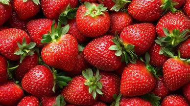 Çilek uzun süre nasıl taze saklanır?