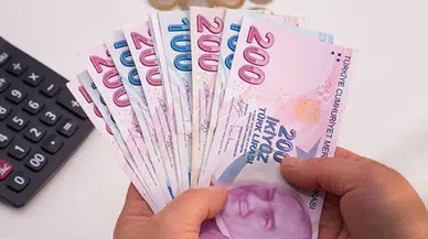 Türk Lirası'na En Yüksek Faizi Veren 15 Banka Hangileri? Güncel Faiz Oranları Nedir?