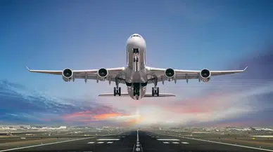 Uçak Motorunda Binlerce Arı Bulundu: Kalkış Neden Gecikti?