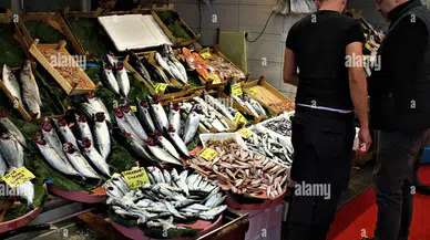 Edirne'de Balık Fiyatları Neden Yükseliyor? Hamsinin Kilogramı 300 Lira ile Satışta