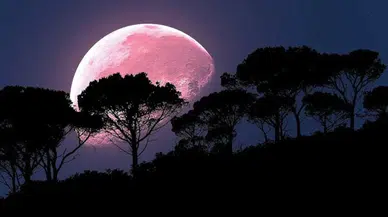 Pembe ay ne zaman, saat kaçta görünecek? Türkiye'de pembe ay nerelerde görülebilir?