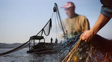 Balık avı yasağı başladı: Yeni sezon ne zaman açılacak?
