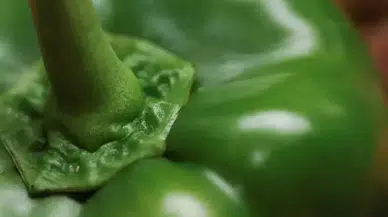 Ticaret Bakanlığı yakaladı! 200 TL'ye satılan biberi bakın kaç TL'ye almışlar