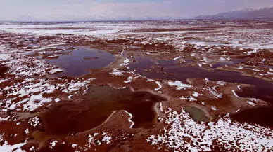 Erzincan'daki Ekşisu Mesire Alanı neden bilim dünyasının ilgi odağı haline geldi?