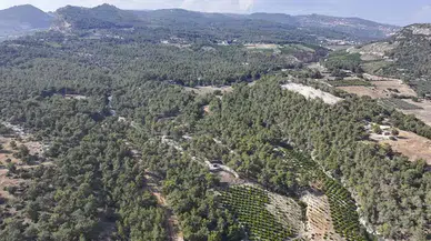 Mersin’de ormanlara giriş neden yasaklandı? Yasak ne zamana kadar sürecek?