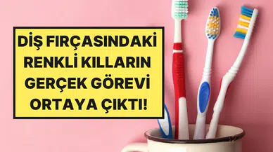Diş hekimleri açıkladı : Diş fırçası kıllarının renkleri aslında ne anlama geliyor?