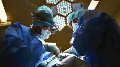 Tıp dünyasında bir ilk: Aynı anda üç domuz organı nakli mümkün