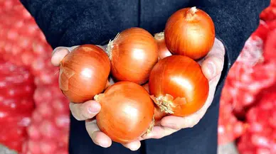 Soğan fiyatları cep yakıyor : Soğan neden bu kadar pahalı?