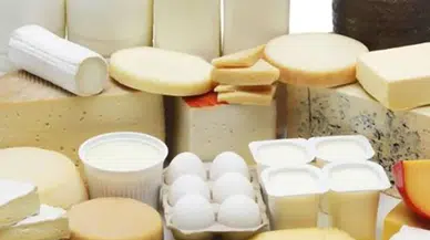 Süt ve süt ürünlerinde bakteri varlığını nasıl anlayabiliriz?