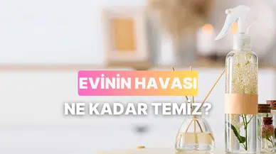 Evinin havası gerçekten ne kadar temiz olmalı?