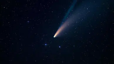 Kuyruk doğumu nedir? Kuyruk doğumu ne zaman gerçekleşecek?