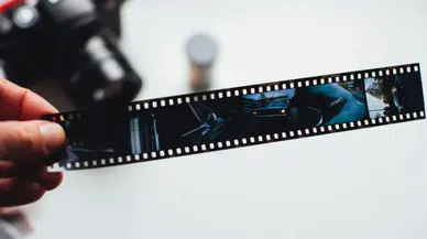 Rotten'a göre izlenmesi gereken en iyi 20 film hangileridir?