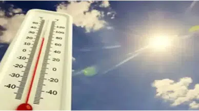 Aydın'da yeni haftada sıcaklıklar kaç derece olacak?