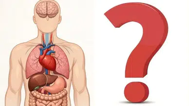 Vücudunuz sizi uyarıyor olabilir ! Hangi Sinyallere Dikkat Etmelisiniz ?