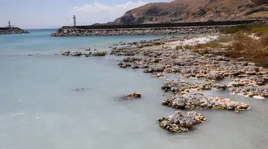 İklim krizi nedeniyle hangi ülkeler tahliye kararı aldı ? Neden bu adımlar atıldı ?
