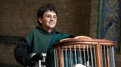 Harry Potter dizisinden yeni detay: Hogwarts'ın armaları değişiyor