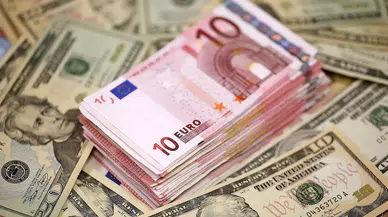 Döviz kurlarında son durum : Dolar kaç TL, euro ne kadar?