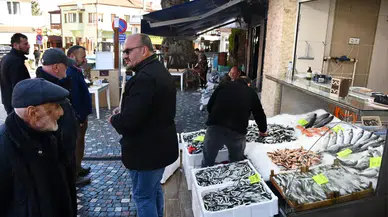 Düzce Akçakoca'da balık fiyatları neden ucuzladı?