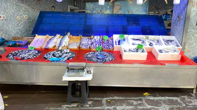 Hamsi ve palamut fiyatları ne durumda?