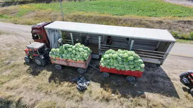 Erzurum'da üretiliyor, yurdun dört bir yanına ulaşıyor! Fiyatı 100 liradan başlıyor