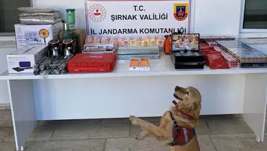 Şırnak'ta kaçakçılık operasyonu: 34 kişi tutuklandı