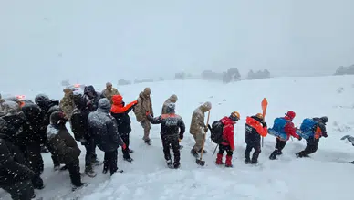 Artvin'de 3 çoban çığ altında kalmıştı: Acı haber geldi!