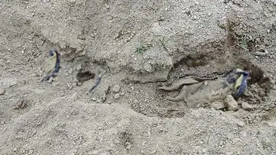 Nevşehir'de kan donduran olay: Battaniyeye sarılı erkek cesedi bulundu