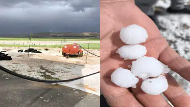 Mardin’de aniden bastıran dolu, hayatı felç etti!