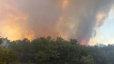Eskişehir'de orman yangını çıktı!