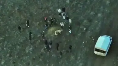 Afyonkarahisar'da jandarmadan dronla baskın: Köpek dövüştüren şahıslar yakalandı