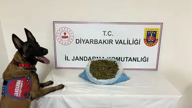 Diyarbakır’da uyuşturucu operasyonu: 41 kilogram esrar ele geçirildi