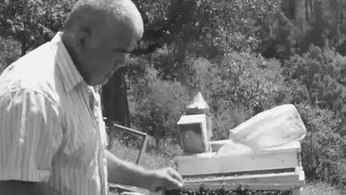 Bartın'da kestiği ağacın altında kalan adam hayatını kaybetti