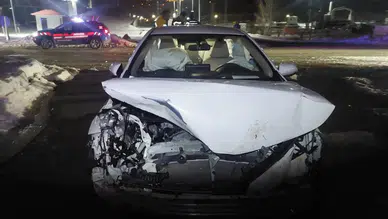 Bingöl'de otomobil domuz sürüsüne çarptı: Yaralılar var