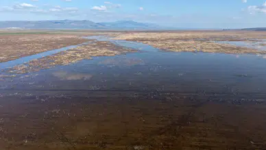 Manisa'daki Marmara Gölü 5 yıl sonra su tutmaya başladı