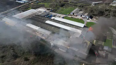 Sakarya'da şekerleme fabrikasında yangın